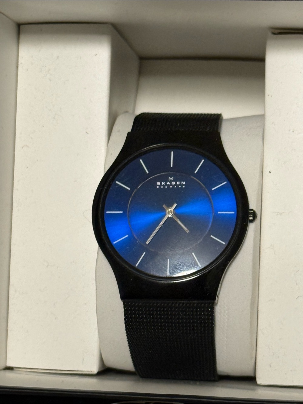 Skagen Black Mesh Watch Strap with Brushed Clasp